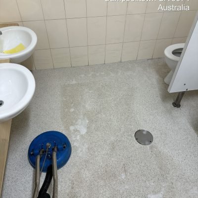 hygiene cleaning recent work-03