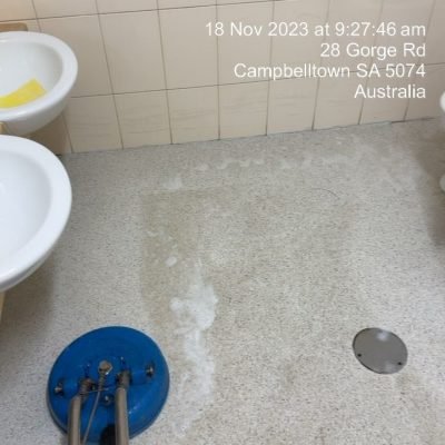 hygiene cleaning recent work-04