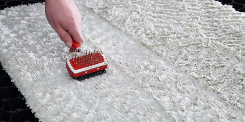 wool carpet cleaning