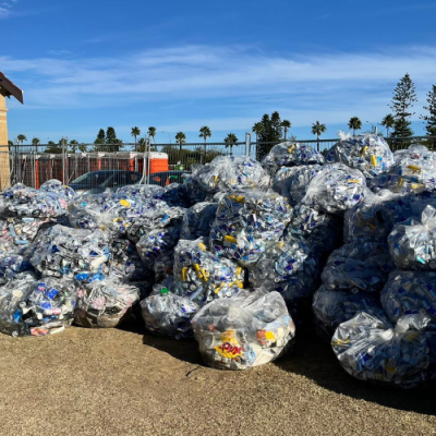 festivals and events7