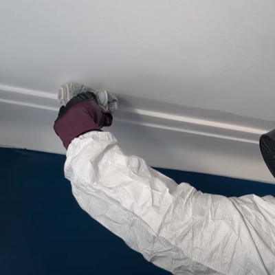 mould removal services1