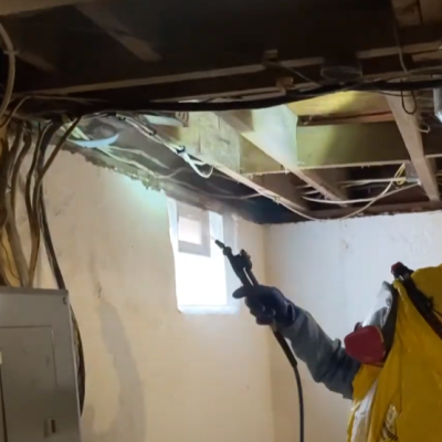 mould removal services4