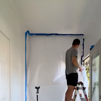 mould removal services5